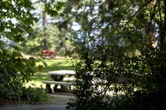 Dean park view saanich Peninsula Sidney BC