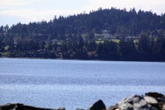 Dean park view over water saanich Peninsula Sidney BC