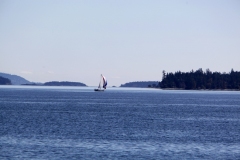 Salish sea saanich Peninsula Sidney BC