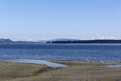 Sidney Island, sidney spit Salish Sea saanich Peninsula Sidney BC