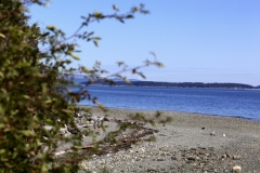 Salish sea sidney Island saanich Peninsula Sidney BC