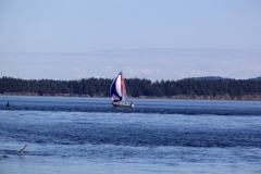 sailing saanich Peninsula Sidney BC