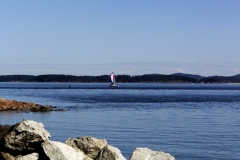 salish sea saanich Peninsula Sidney BC