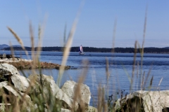 Salish Sea Sail Boat saanich Peninsula Sidney BC