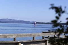 Sailing the Salish sea saanich Peninsula Sidney BC