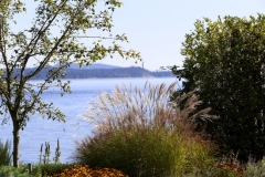 View waterfront walkway fall on the  saanich Peninsula Sidney BC