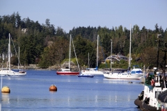 tsehum harbour sidney saanich Peninsula Sidney BC