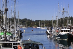 tsehum harbour sidney saanich Peninsula Sidney BC