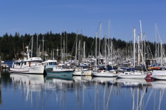 tsehum harbour sidney saanich Peninsula Sidney BC